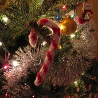 Eileen Casey - Candy Cane Christmas Ornament